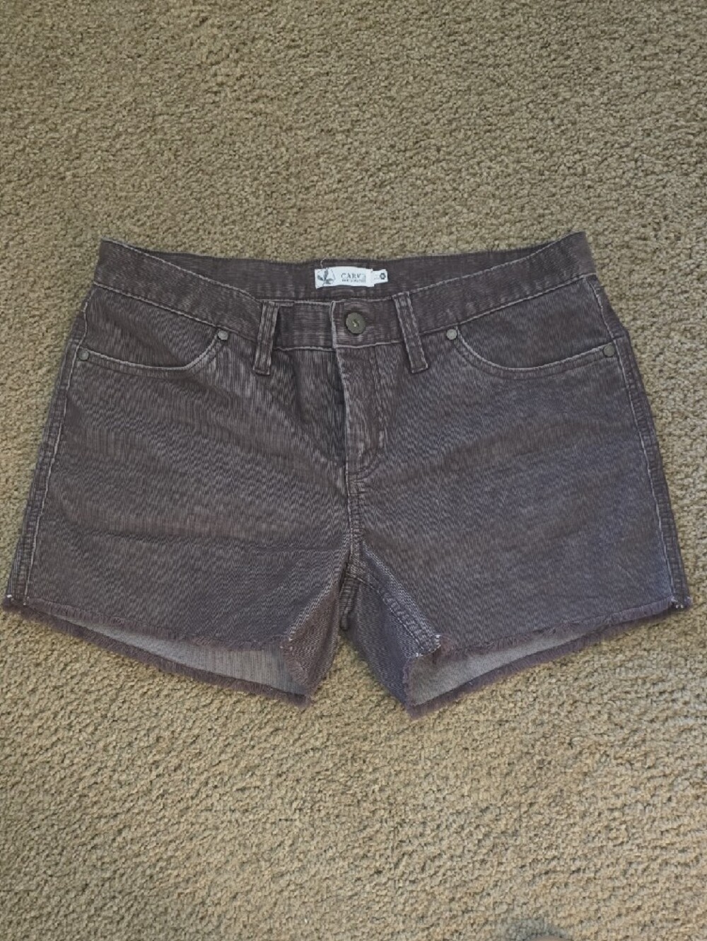 Carve Designs Plum Dogtown Shorts - Picture 2 of 4